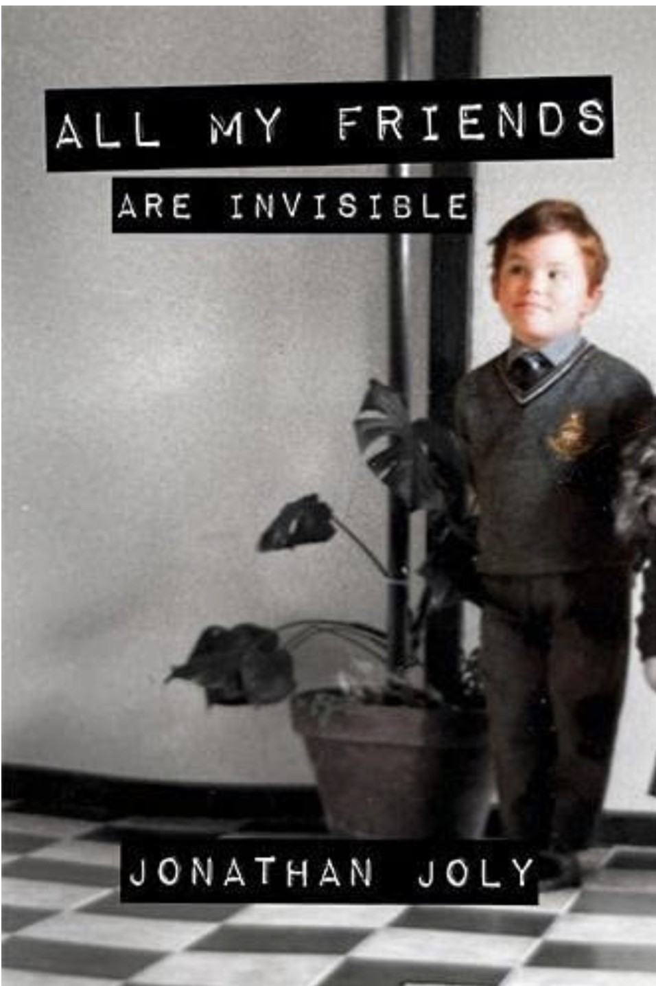 All My Friends Are Invisible (Hardcover)