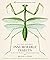 Innumerable Insects: The Story of the Most Diverse and Myriad Animals on Earth (Natural Histories)