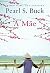 A Mãe by Pearl S. Buck