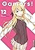 Gamers! Light Novel 12