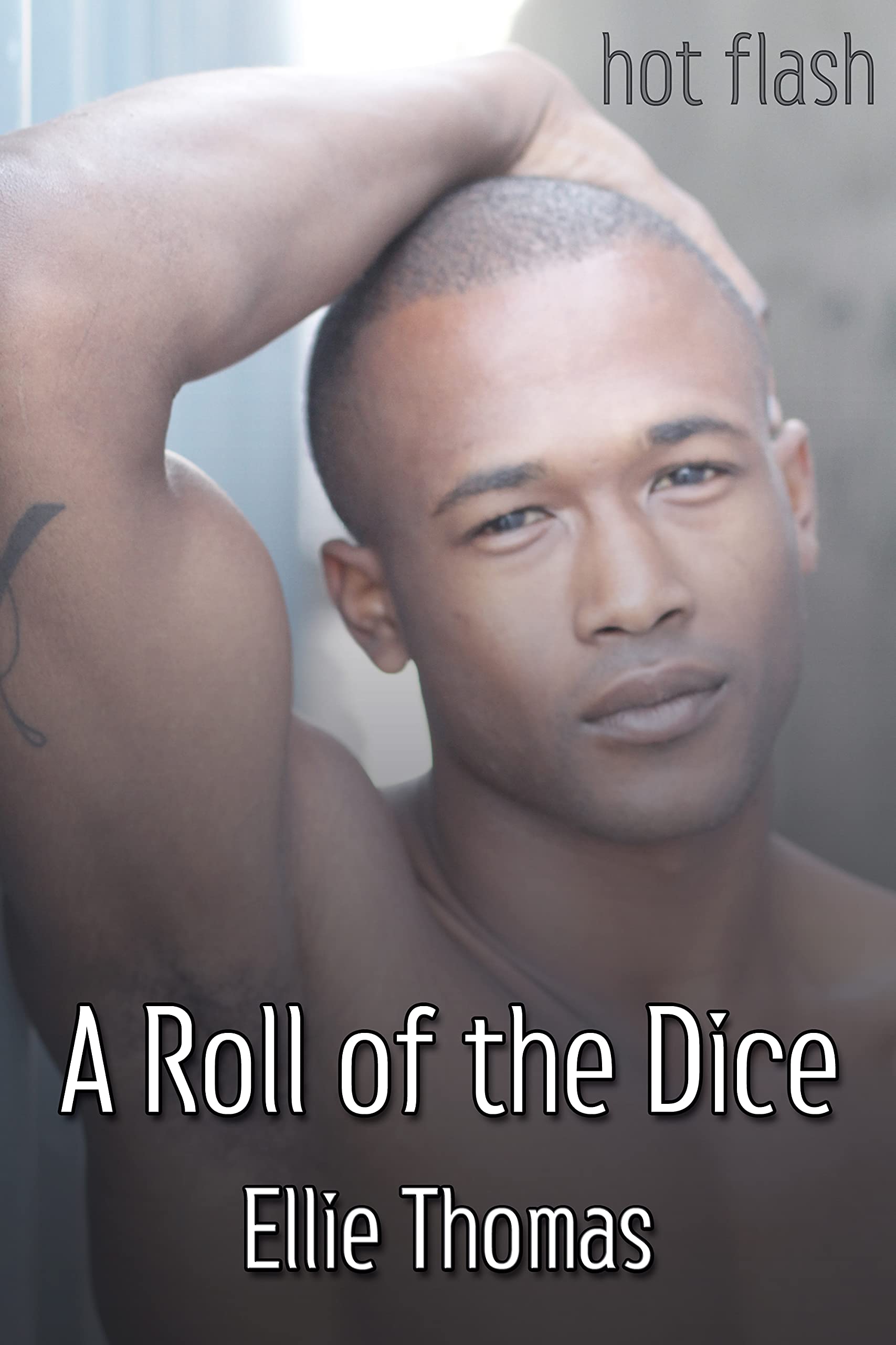 A Roll of the Dice (Kindle Edition)