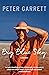 Big Blue Sky: A Memoir