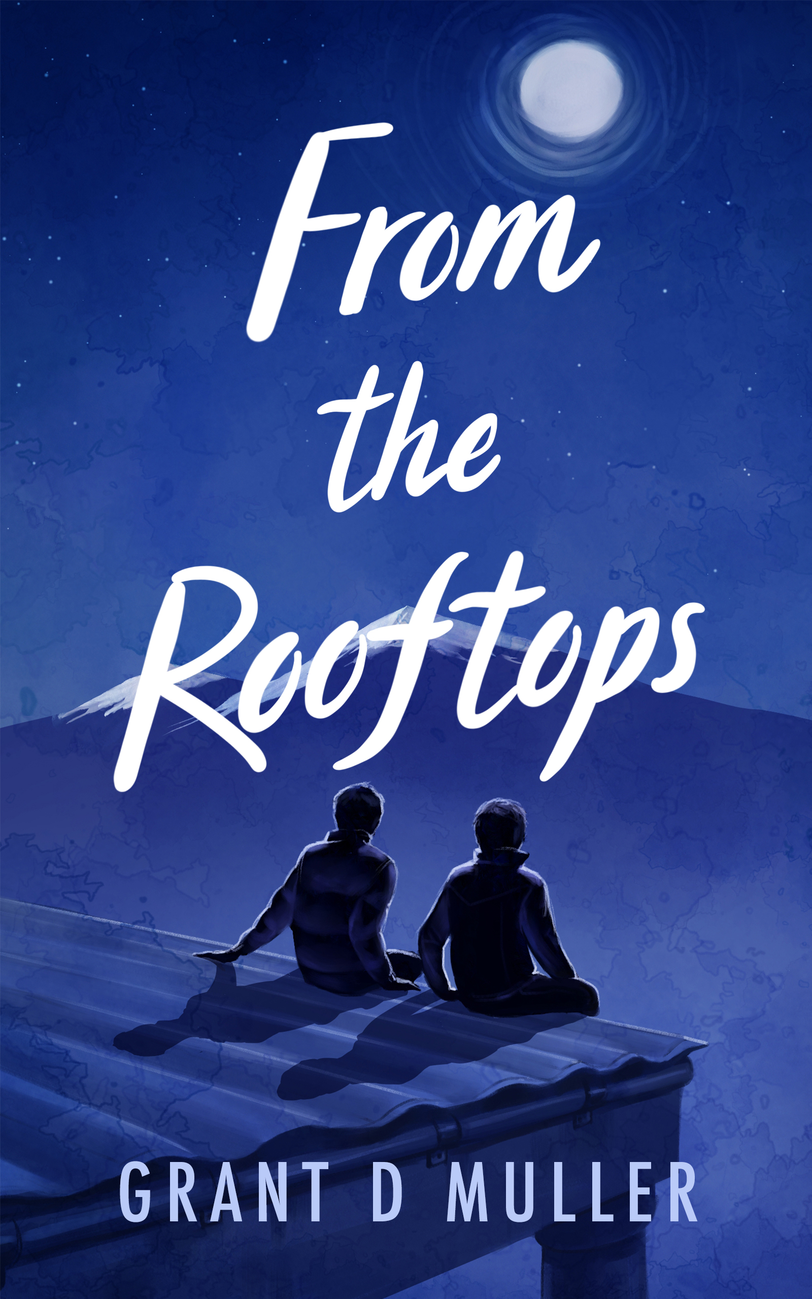 From the Rooftops (Paperback)