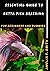 Essential Guide To Betta Fi...