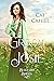 A Groom for Josie (The Blizzard Brides, #24)