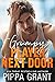 The Grumpy Player Next Door (Copper Valley Fireballs #3)
