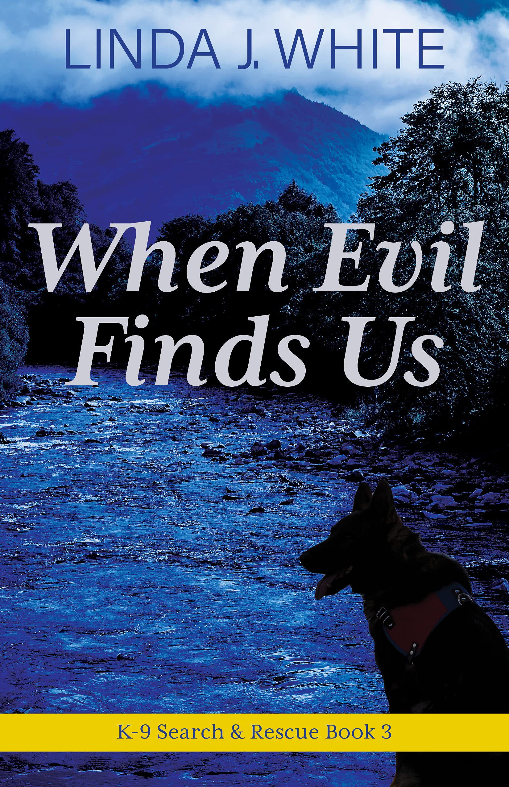 When Evil Finds Us (K-9 Search and Rescue #3)
