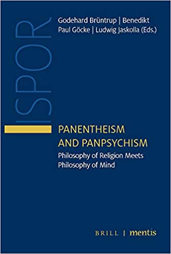 Panentheism and Panpsychism: Philosophy of Religion Meets Philosophy of Mind (Hardcover)