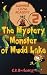 Summer Camp Academy: The Mystery Monster of Mudd Lake