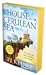 The House in the Cerulean Sea by T.J. Klune