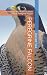 PEREGRINE FALCON: Informati...
