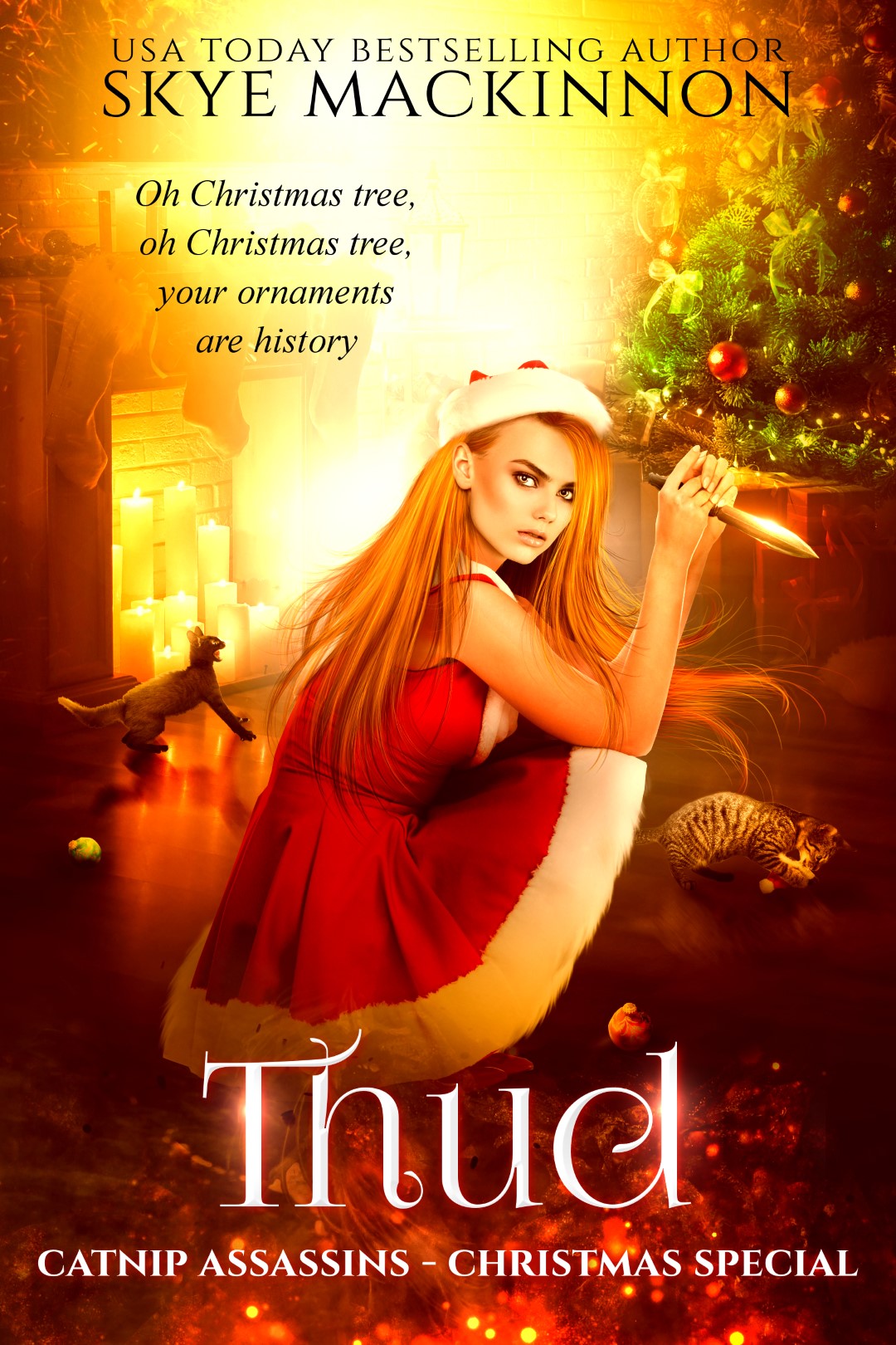 Thud (Catnip Assassins #7.5)
