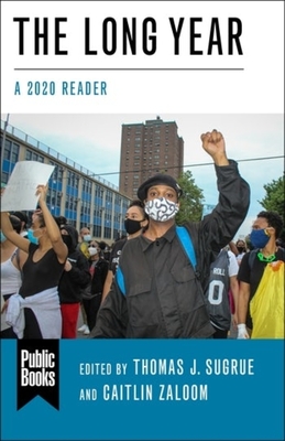The Long Year: A 2020 Reader (Public Books Series)