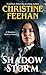 Shadow Storm (Shadow Riders: Thorndike Press Large Print Romance, 6)