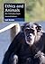 Ethics and Animals (Cambridge Applied Ethics)