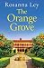 The Orange Grove: a delicious, escapist romance set in sunny Seville