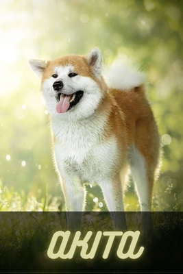 Akita: Complete breed guide