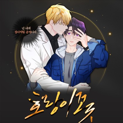 호랑이꽃 (Tiger Flower)