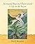 Armand Bayou Illustrated A Life on the Bayou by Mark Kramer