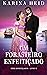 Um Forasteiro Enfeitiçado (Enfeitiçados Livro 2) (Portuguese Edition)