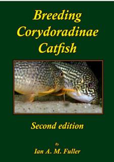 Breeding Corydoradinae Catfish