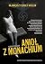 Anioł z Monachium by Fabiano Massimi
