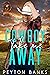 Cowboy, Take Me Away by Peyton Banks