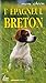 L'épagneul breton
