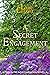 A Secret Engagement: A Pride & Prejudice Variation Novella