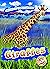 Giraffes (Animals of the Gr...