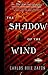The Shadow of the Wind