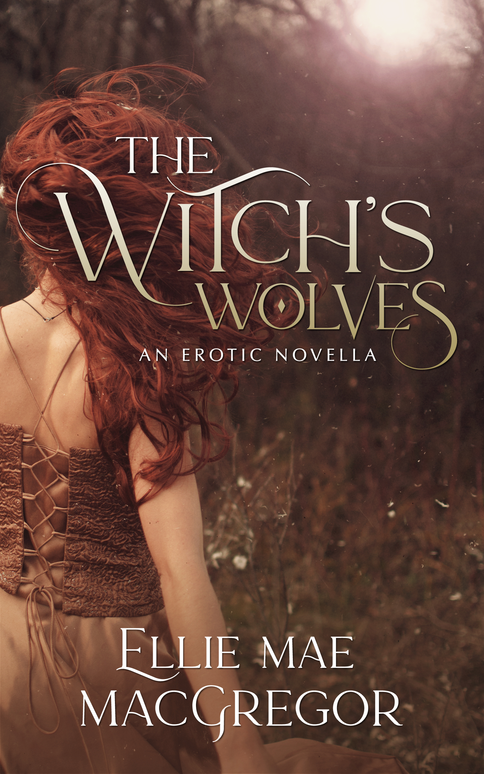 The Witch's Wolves (Kindle Edition)