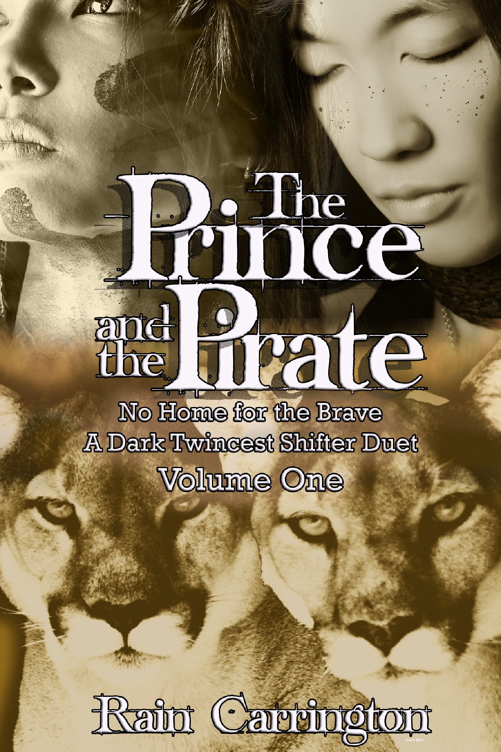 The Prince and The Pirate (ebook)