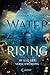 Im Sog der Verschwörung (Water Rising, #2)