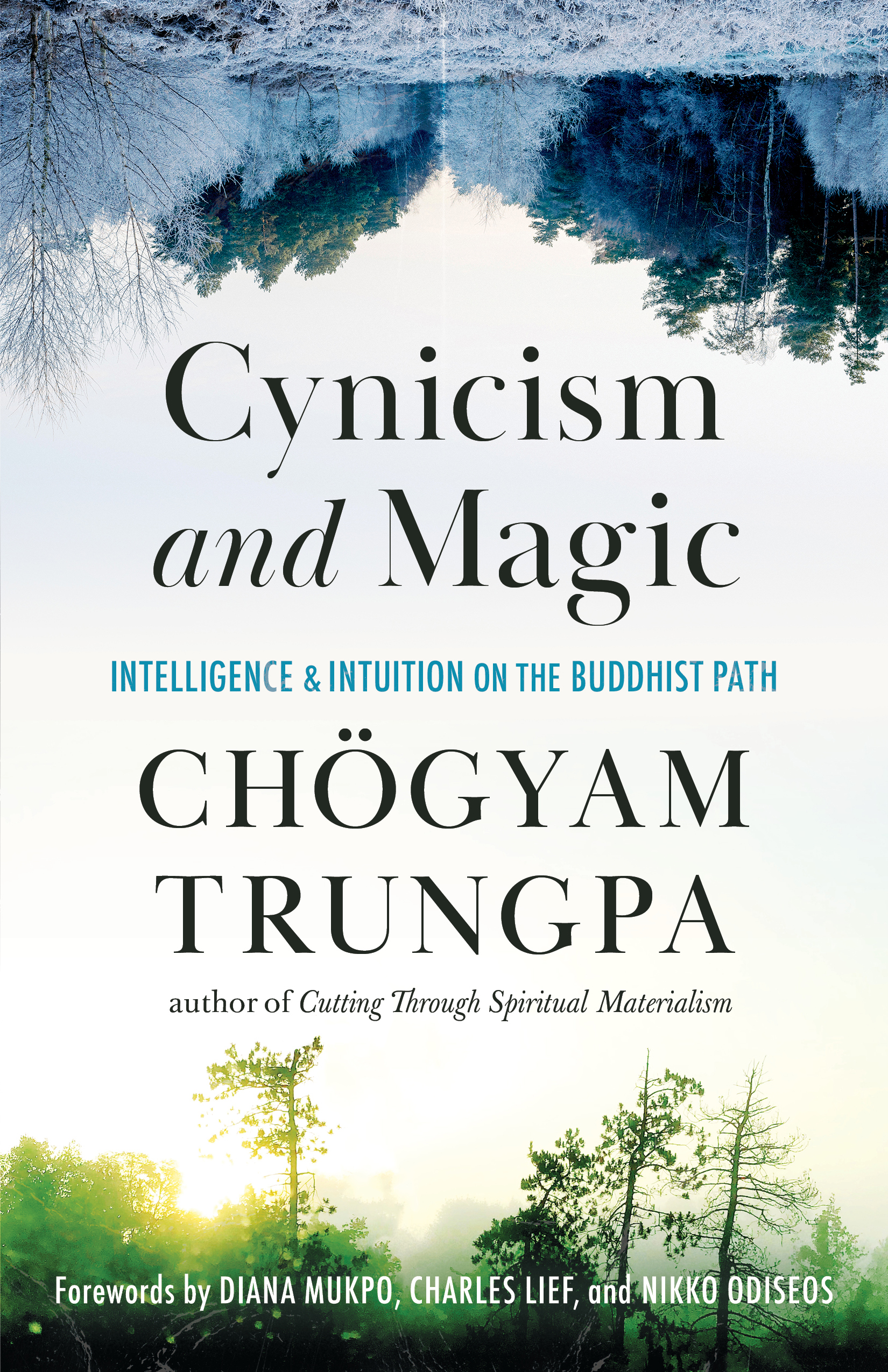 Cynicism and Magic: Intelligence and Intuition on the Buddhist Path (Paperback)