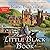 Little Black Book (Bibliophile Mystery, #15)