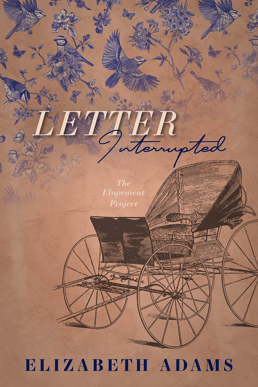 Letter Interrupted: A Pride and Prejudice Vagary (The Elopement Project)