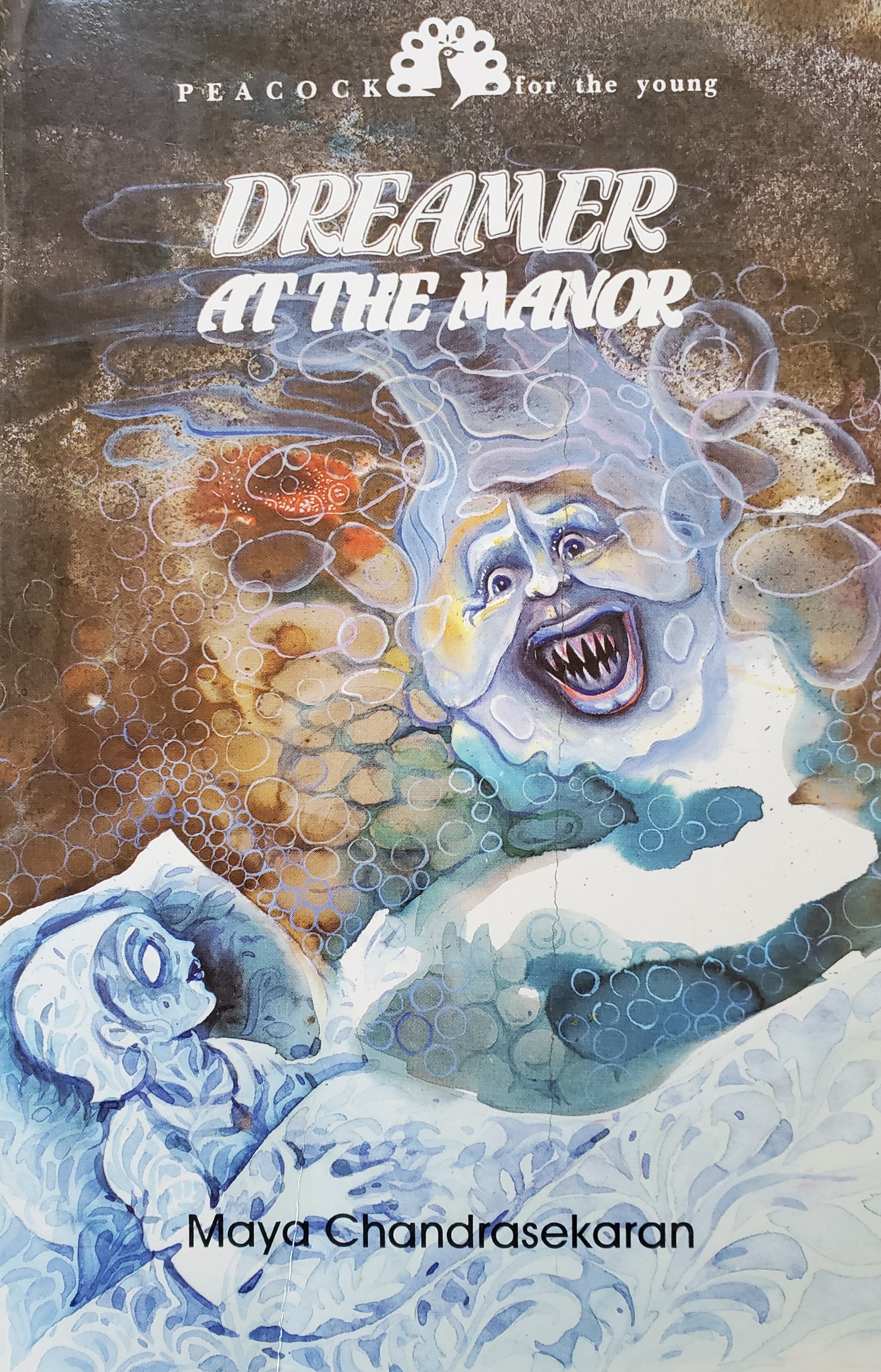 Dreamer at the Manor
