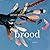 Brood