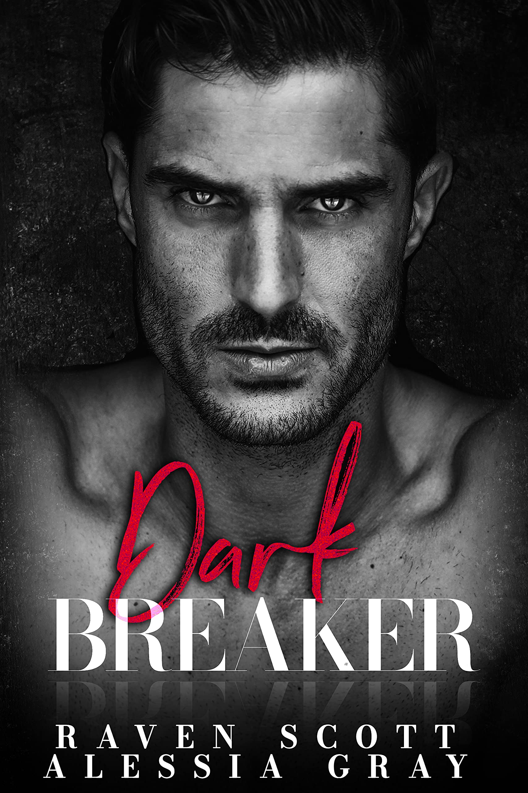 Dark Breaker (Dark Ever After #2)