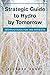 Strategic Guide to Hydro by...