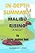 SUMMARY OF: MALIBU RISING :...