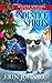 Solstice Spirits (Rudie Hollybrook, #2) (Winter Witches of Holiday Haven #10)