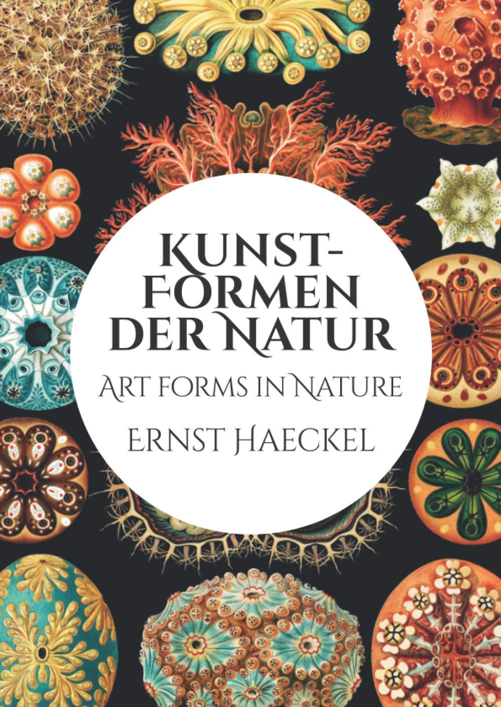 Kunst-Formen der Natur: Art Forms in Nature (German Edition)