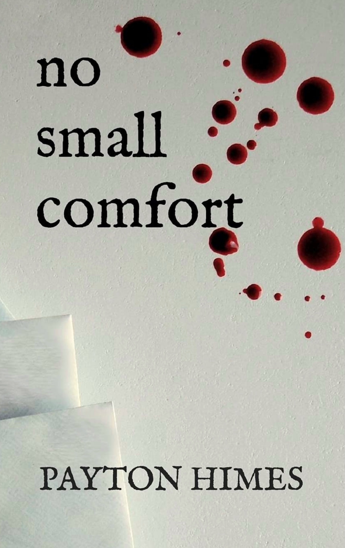 No Small Comfort (Paperback)