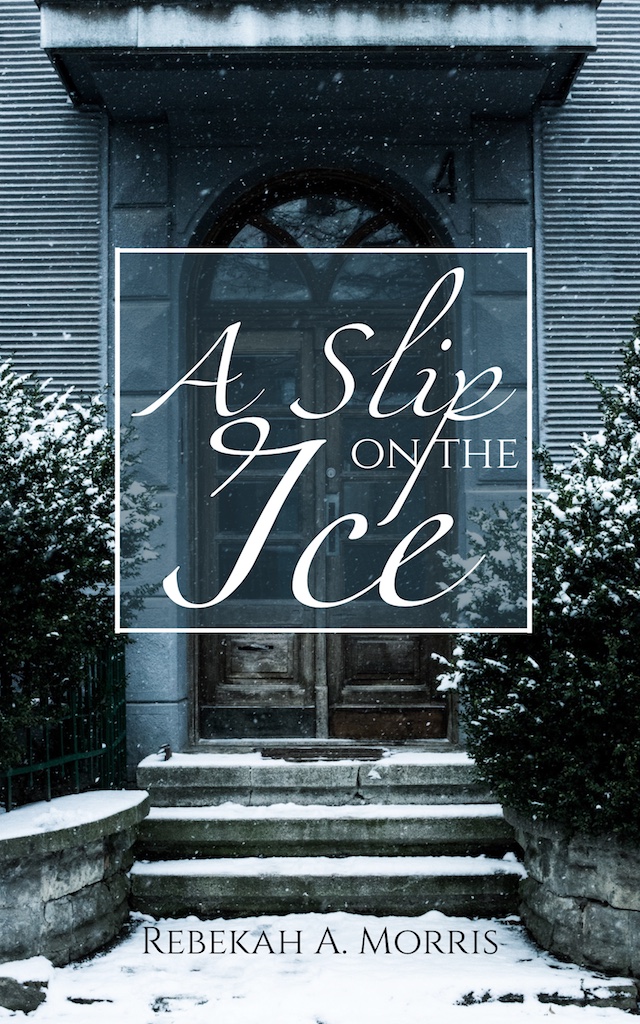 A Slip on the Ice (Kindle Edition)