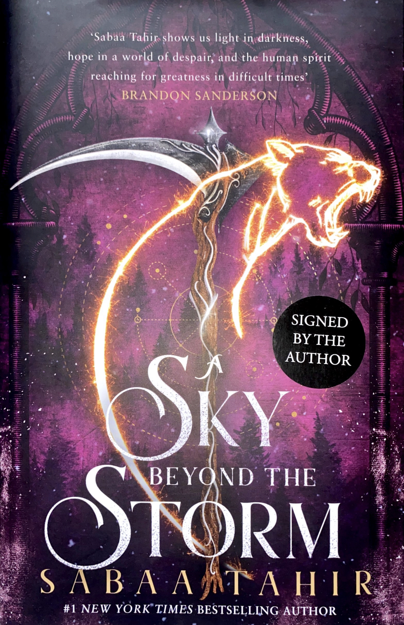 A ​Sky Beyond the Storm