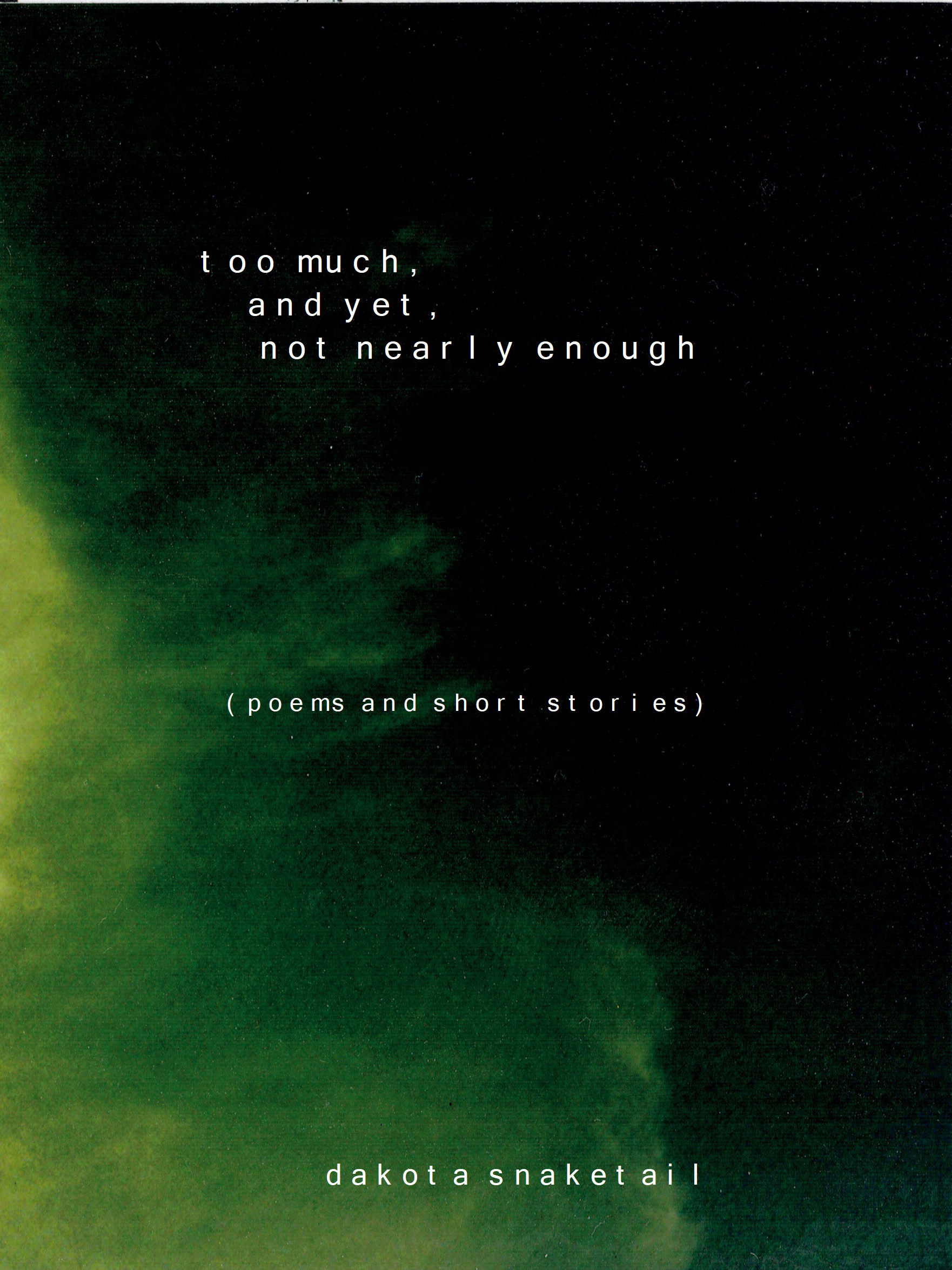 Too Much, and Yet, Not Nearly Enough