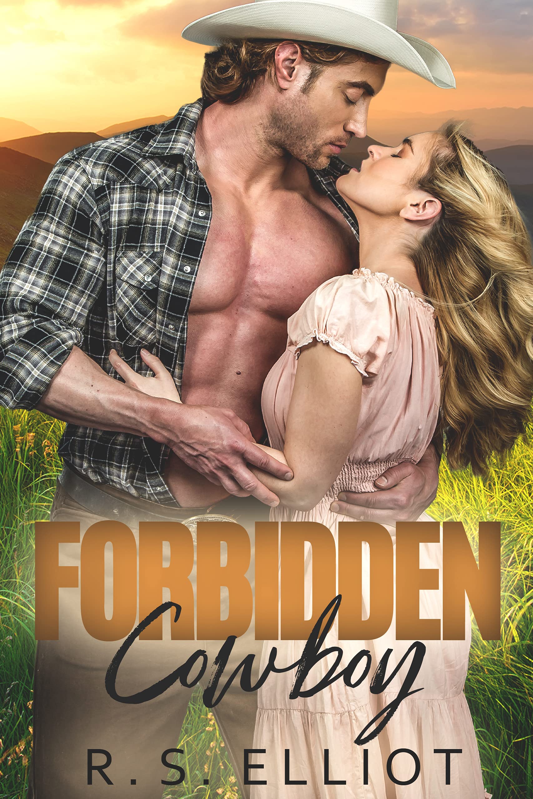 Forbidden Cowboy (Forbidden Fairy Tales Book 6)