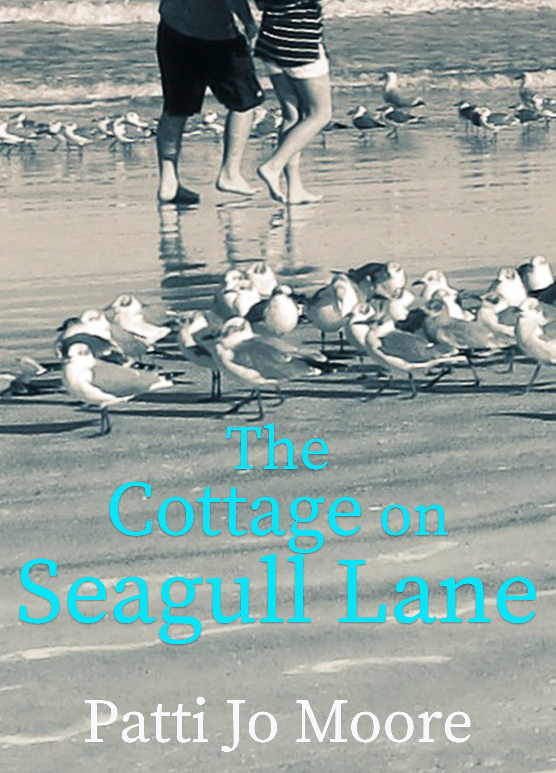 The Cottage on Seagull Lane: Sweet beach romance (Kindle Edition)